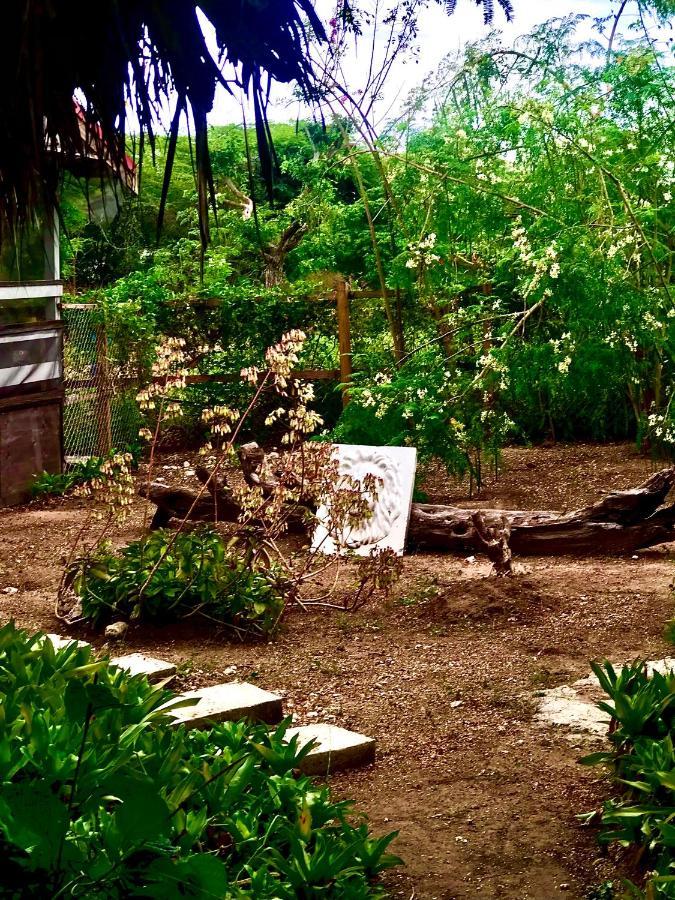 Moringa Ingadi Villa Treasure Beach Exterior photo