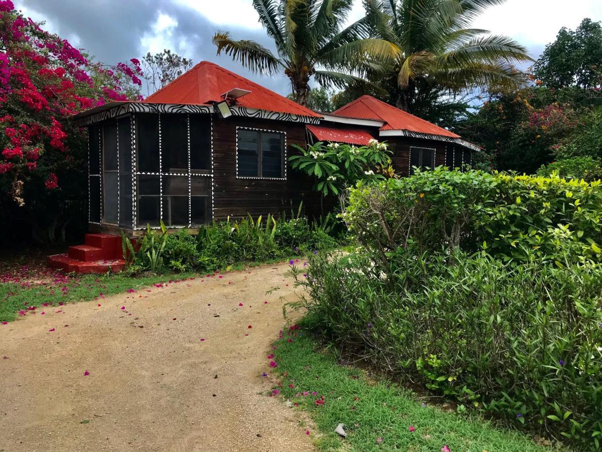 Moringa Ingadi Villa Treasure Beach Exterior photo